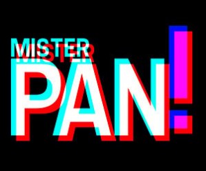 PSWC 2013 LA VIDEO PAR MISTER PAN !